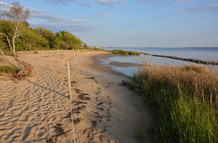 Nags Head Woods Ecological Preserve