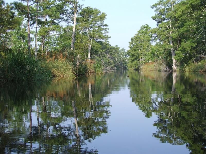 sea level rise impact on estuaries