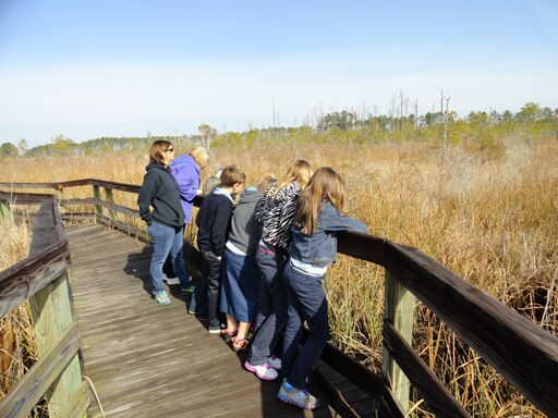 Creef Cut Wildlife Trail