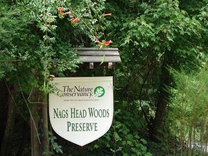 Nags Head Woods Preserve