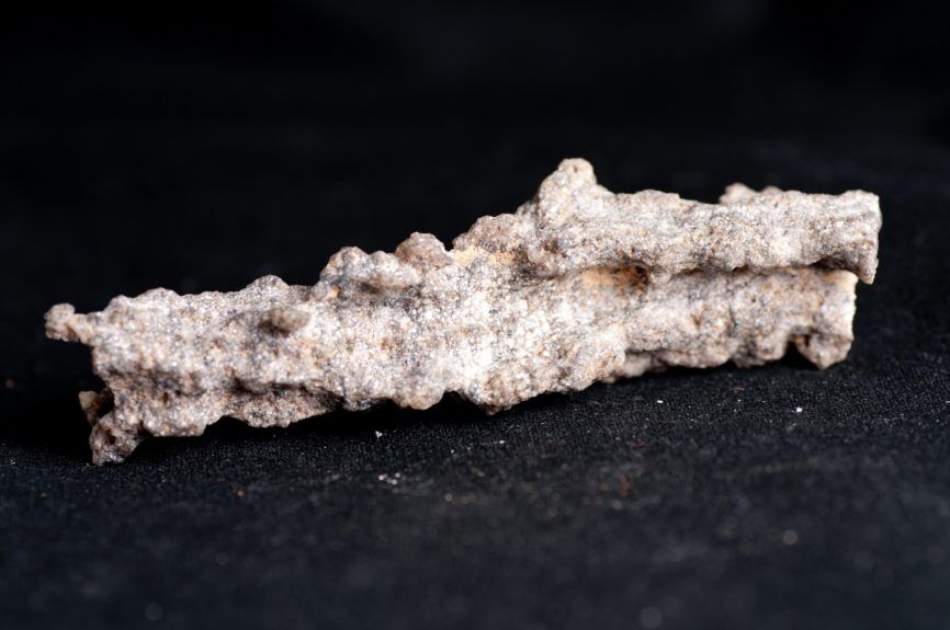 Outer Banks Fulgurite Lightning Fused