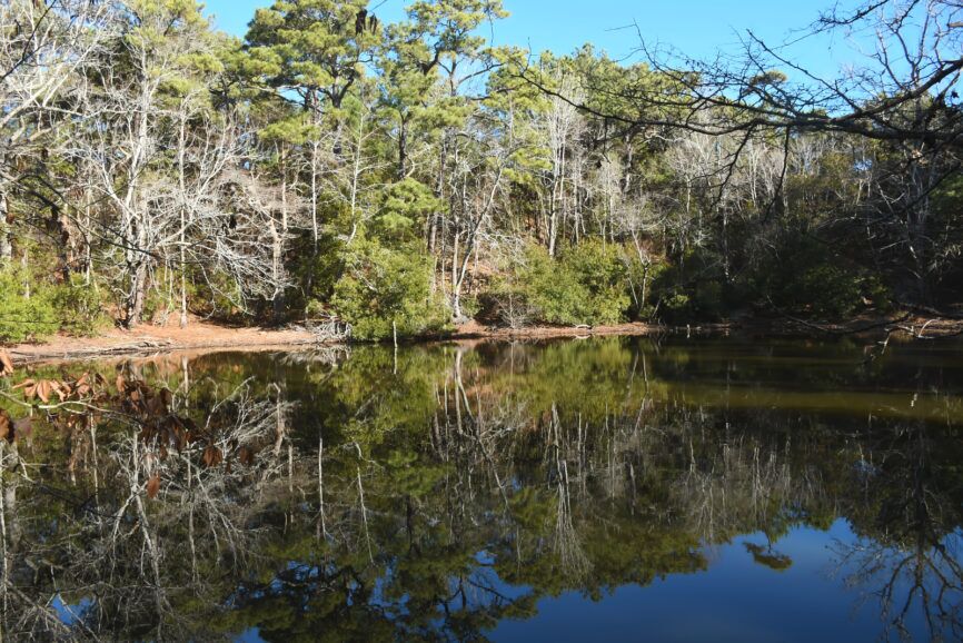 Run Hill Kill Devil Hills NC