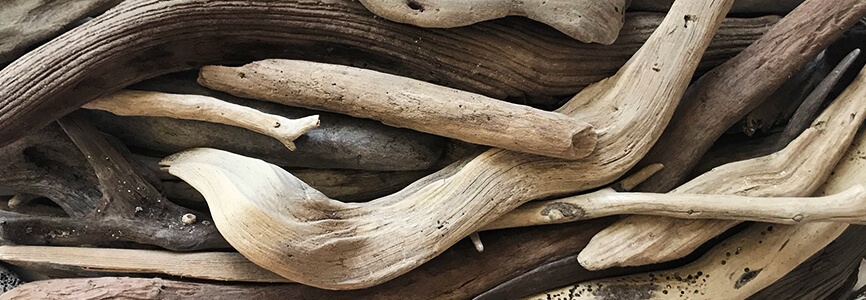Driftwood