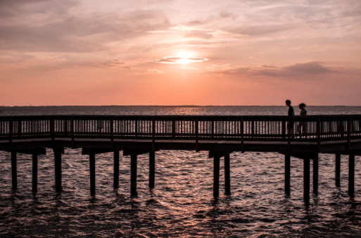 Duck Soundside Boardwalk