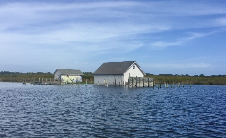 Pine Island Hunt Club