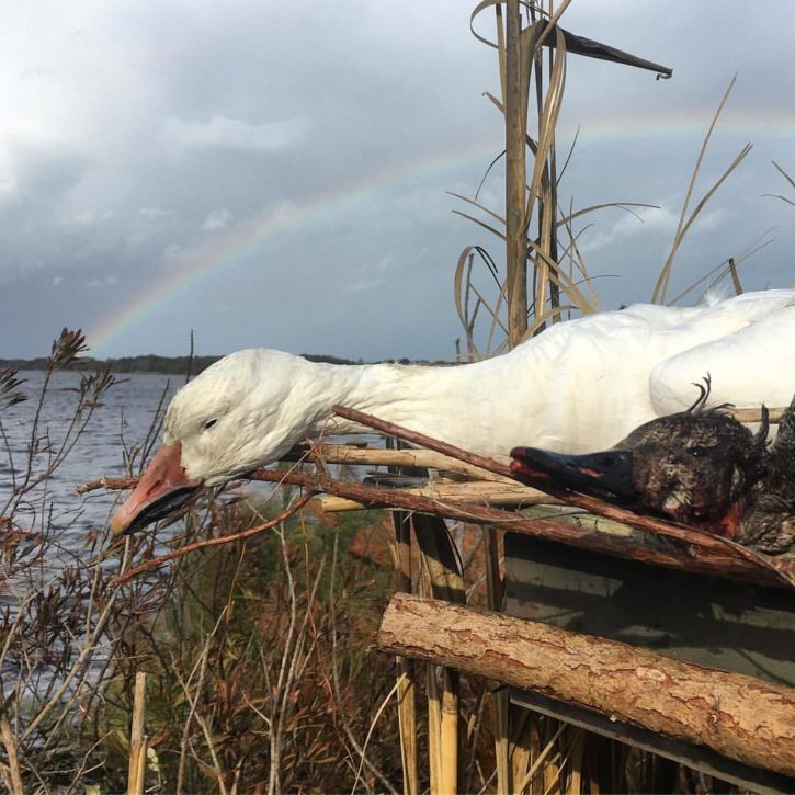 Outer Banks Bird Hunting