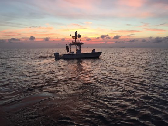 Albemarle Sound Sunset 