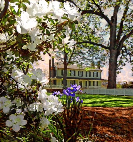 Blount-Bridgers House