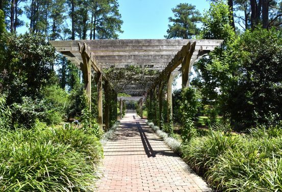 Cape Fear Botanical Garden